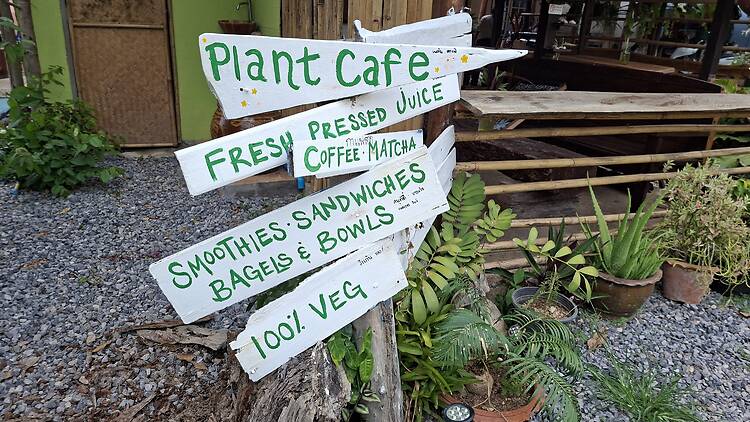 Plant Café Plant Café