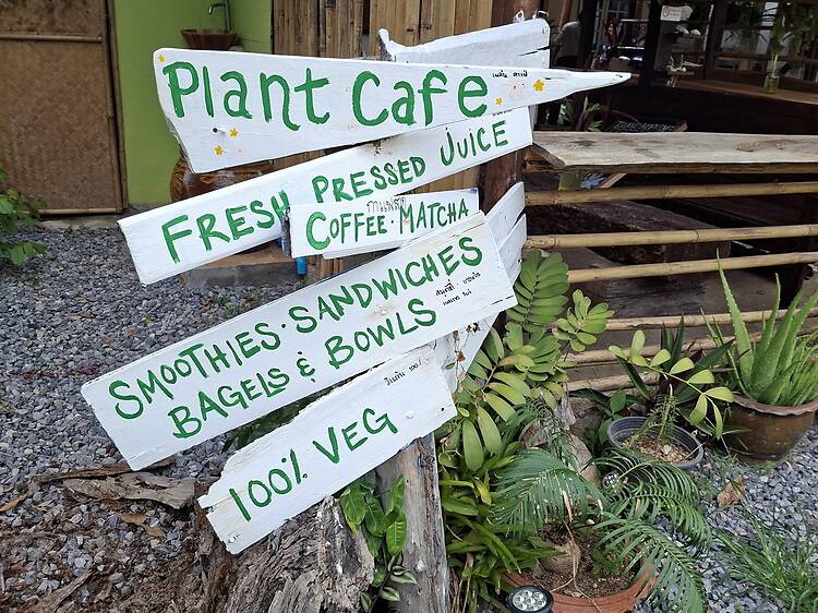 Plant Café Plant Café