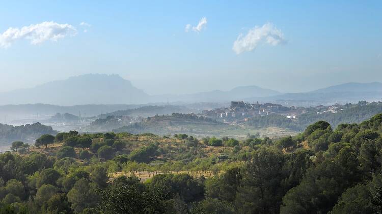 Collserola: descobreix tots els seus secrets