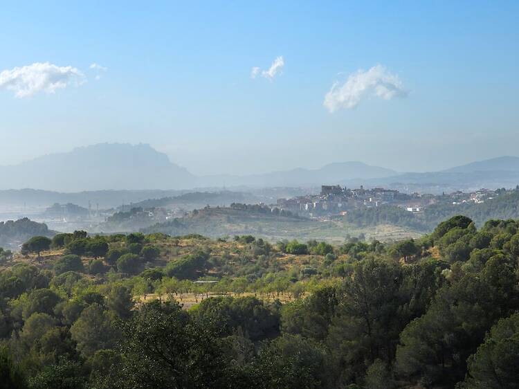 Collserola: descobreix tots els seus secrets