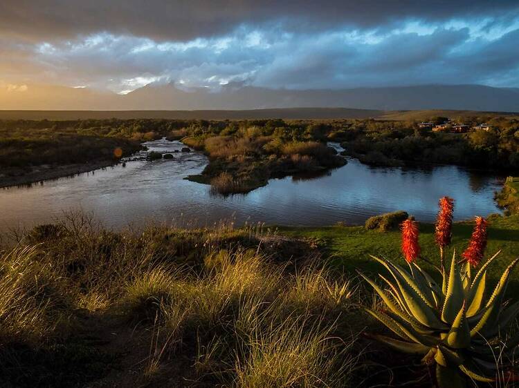 Bontebok National Park announces phased reopening