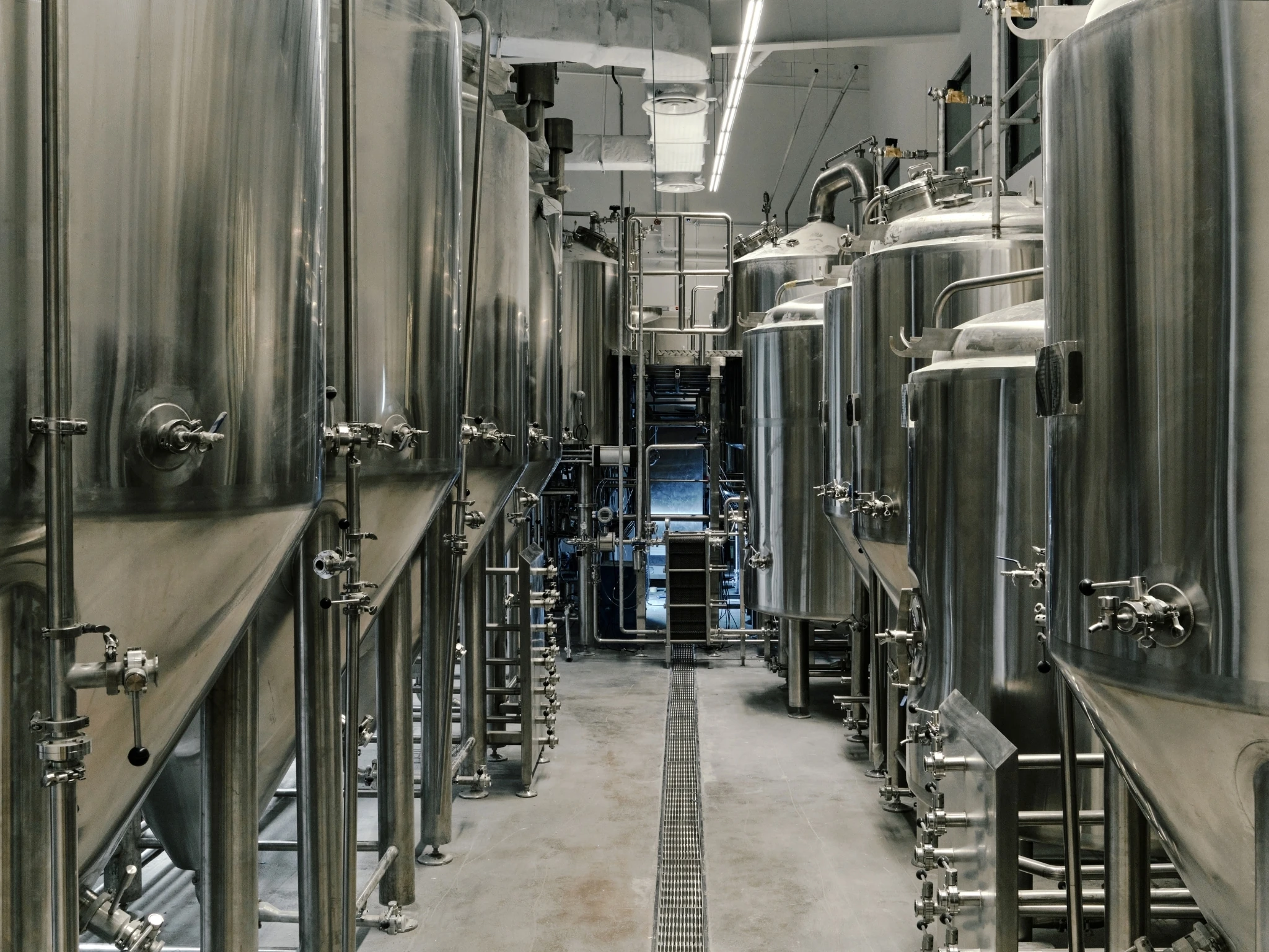 People People Brewing Co.
