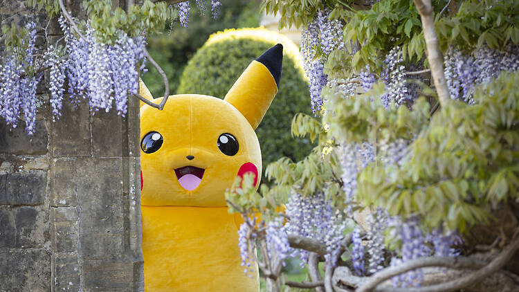 Pikachu at Nyman's Garden, April 2026 Pikachu at Nyman's Garden, April 2026