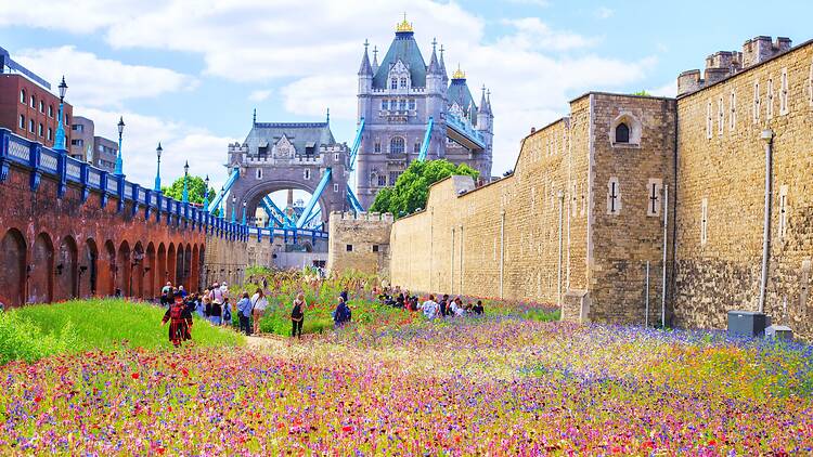 Tower of London moat Tower of London moat
