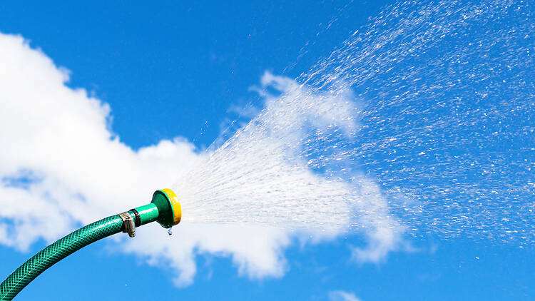 Hosepipe Hosepipe
