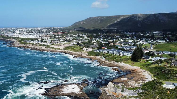 Day 2: Hermanus and Stanford Day 2: Hermanus and Stanford
