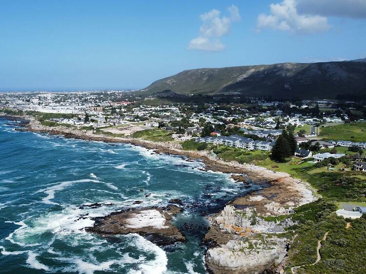 Day 2: Hermanus and Stanford Day 2: Hermanus and Stanford