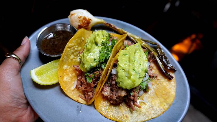 Two tacos on a blue plate