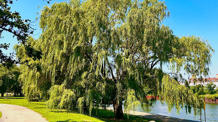 Ping Tom Memorial Park Ping Tom Memorial Park