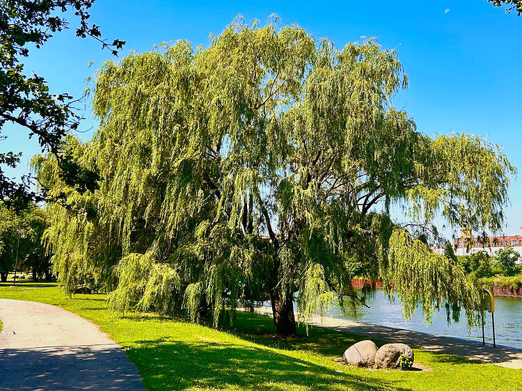 Ping Tom Memorial Park Ping Tom Memorial Park