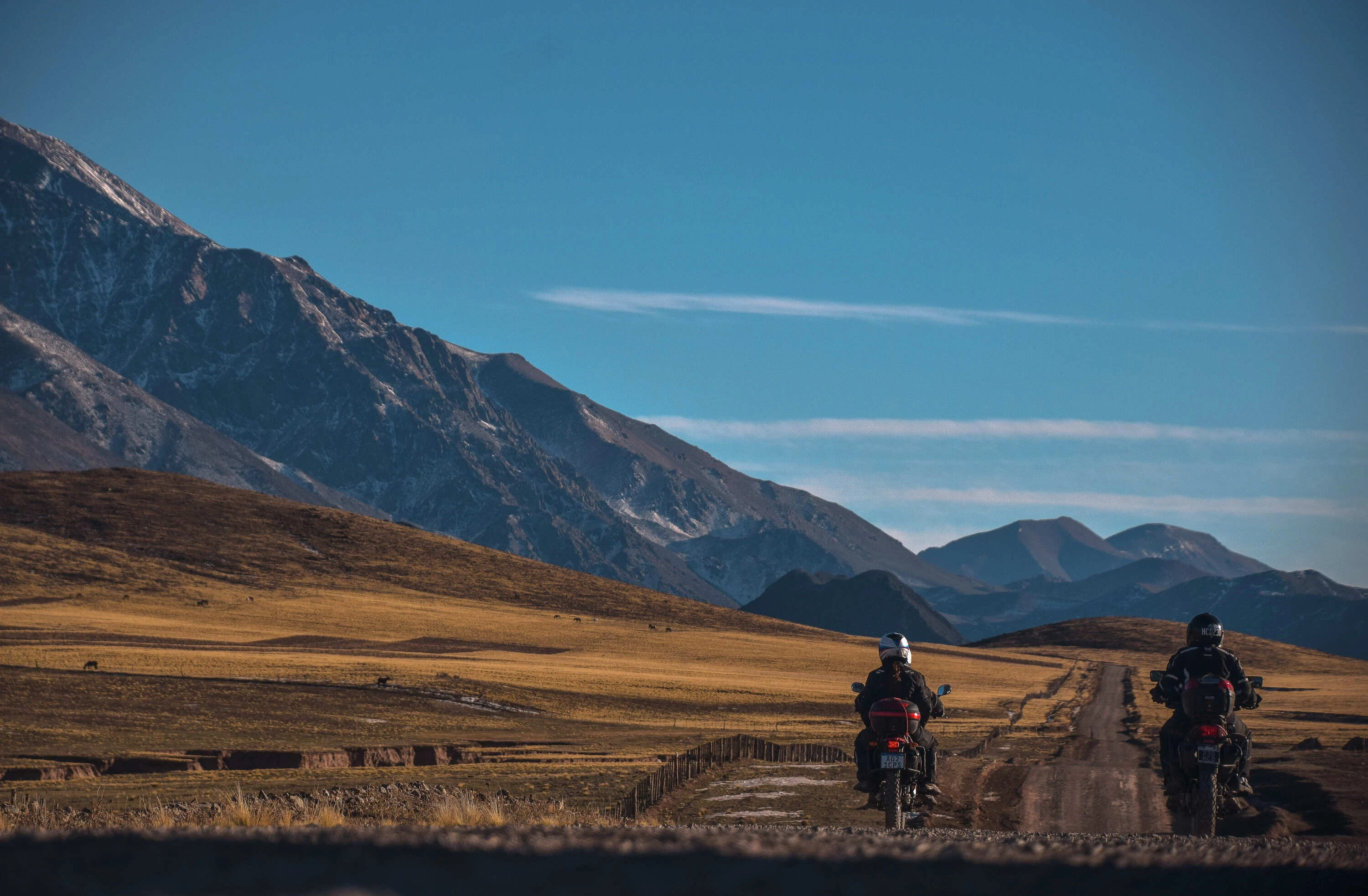 camino-la-carrera