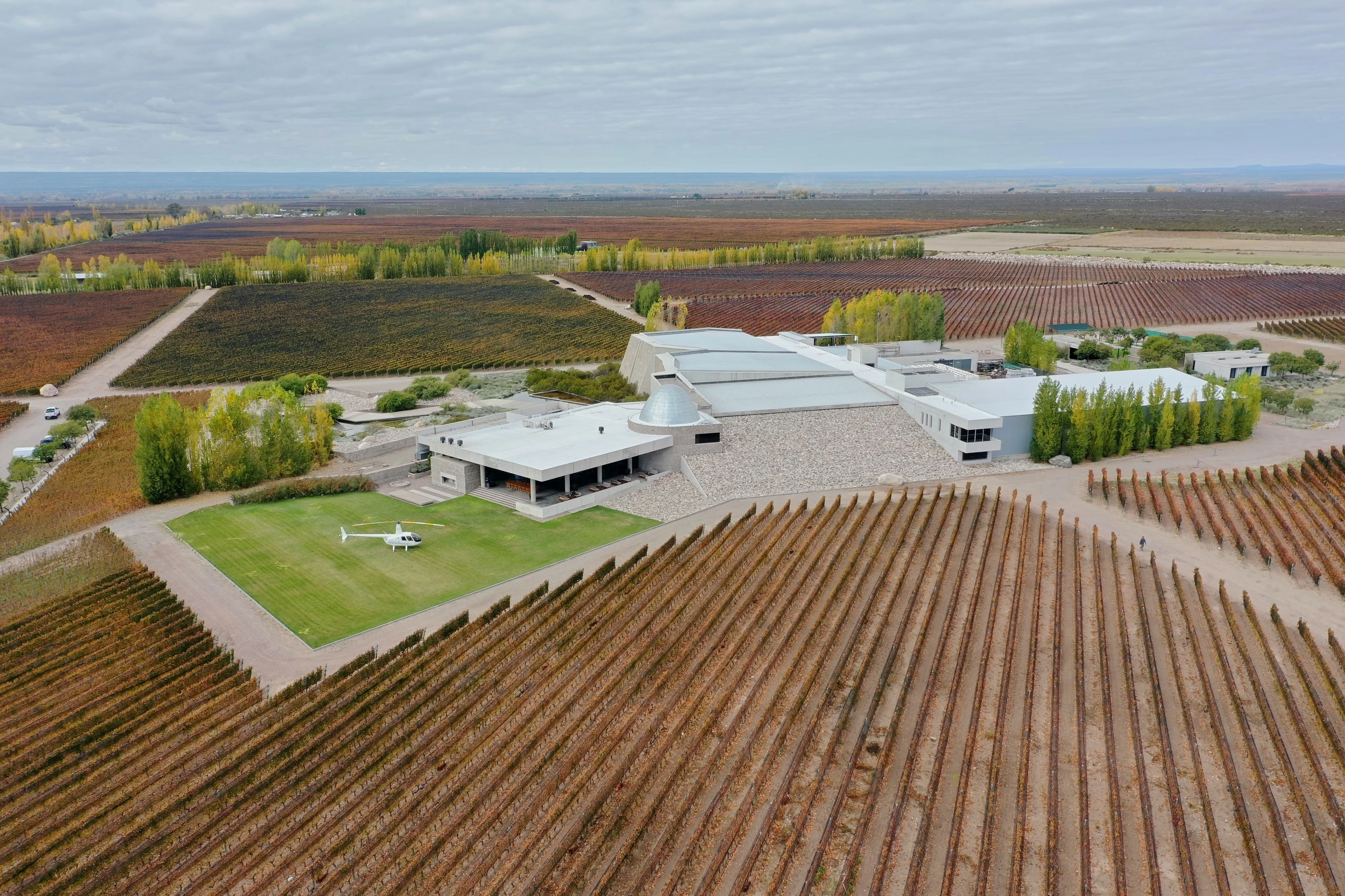 bodega-piedra-infinita