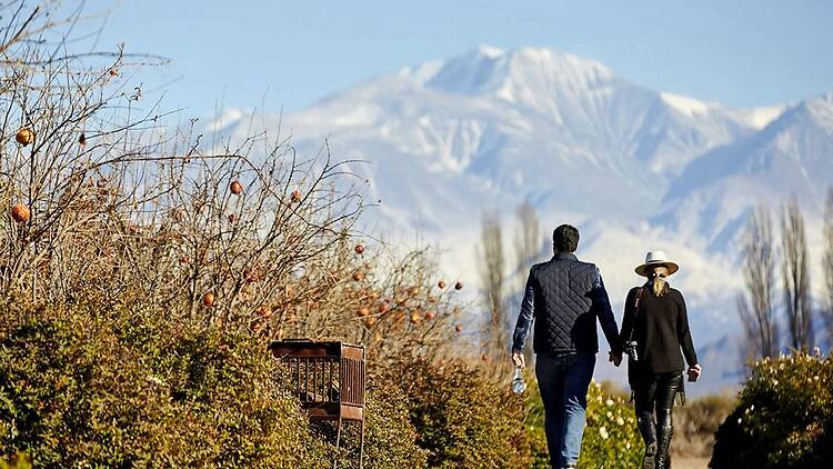 Valle de Uco: tres departamentos, cientos de experiencias y mucho más que vino