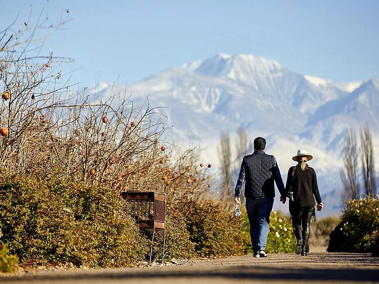 Valle de Uco: tres departamentos, cientos de experiencias y mucho más que vino
