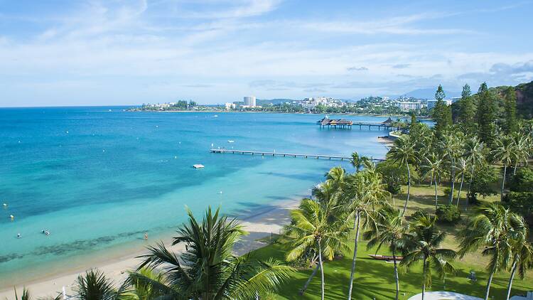 Beach and greenery