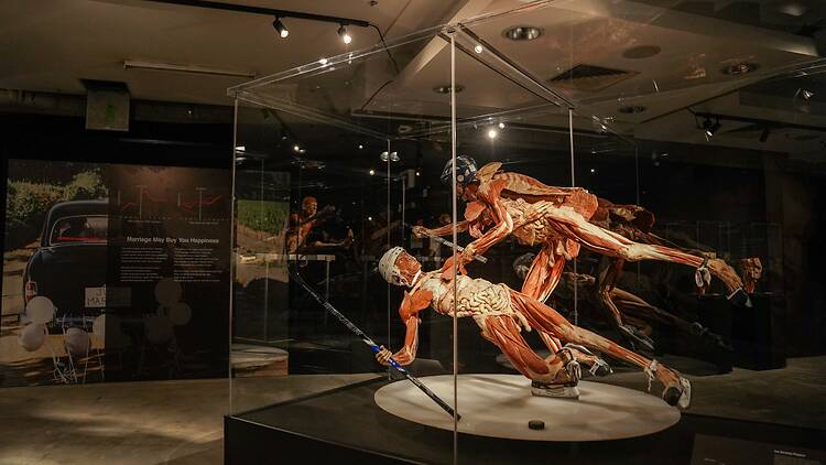 Body Worlds