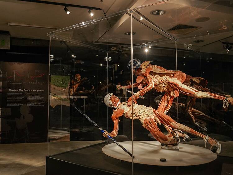 Body Worlds Body Worlds