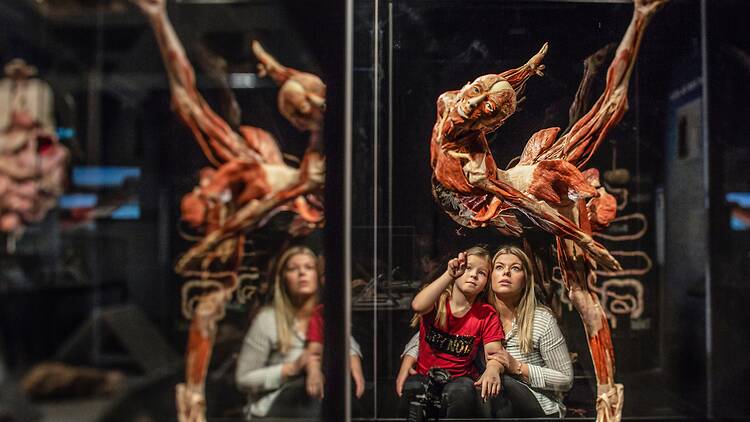 Body Worlds