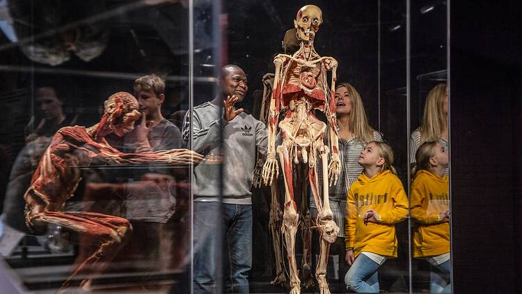 Body Worlds