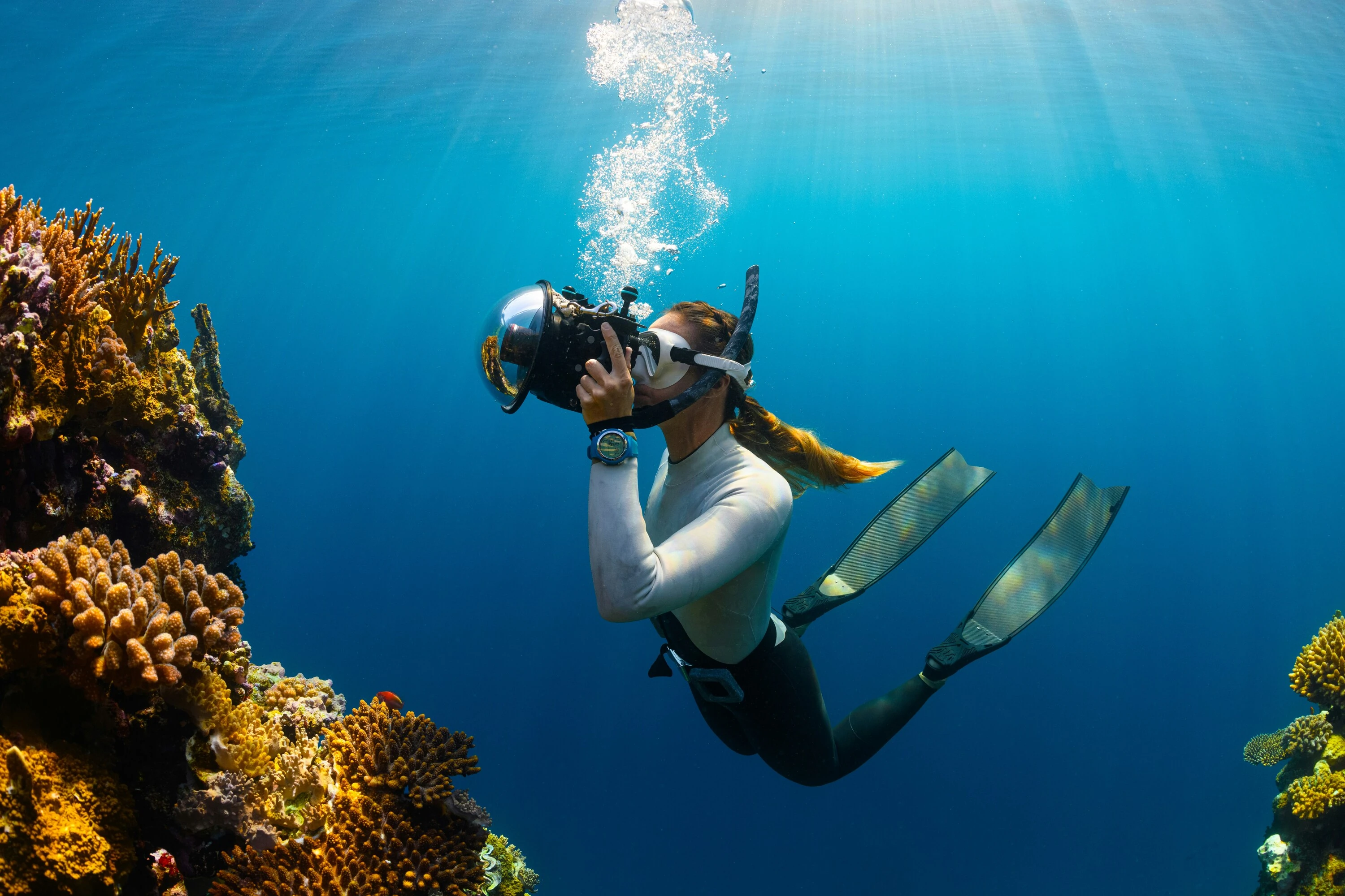 Diving, snorkelling, beach clean-ups and more are planned for this year's MPA Day!