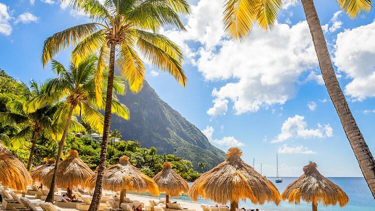 Sugar Beach in St. Lucia Sugar Beach in St. Lucia