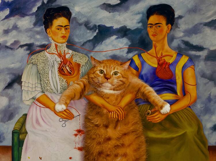 Museo del Gato Nuevo Museo del Gato en la CDMX