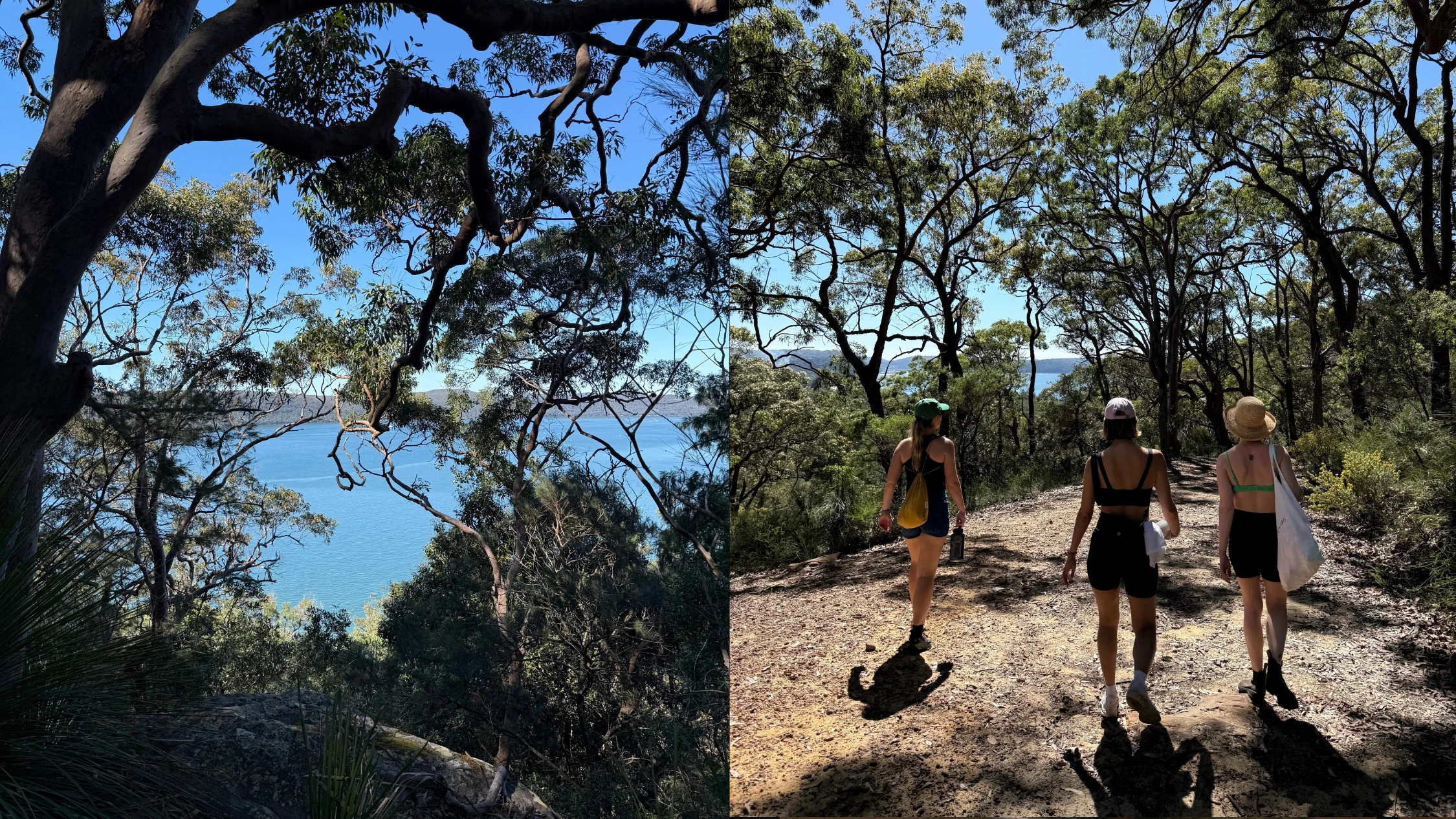 Patonga hike