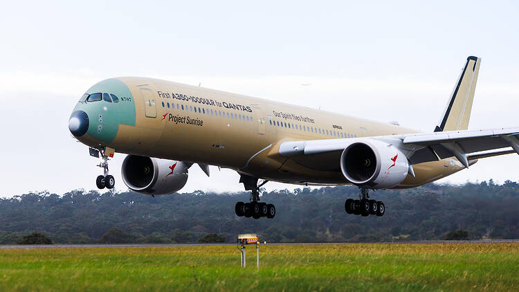 Project Sunrise Qantas Airbus A350-1000ULR