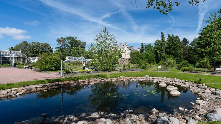 4 Aug: Guided tours of Kaisaniemi Botanic Garden