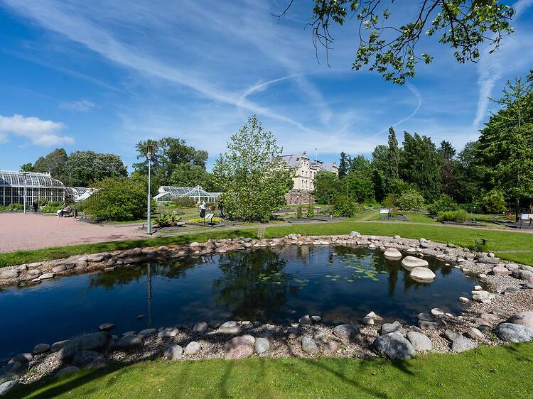 4 Aug: Guided tours of Kaisaniemi Botanic Garden