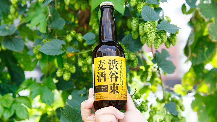 渋谷区ふれあい植物センター