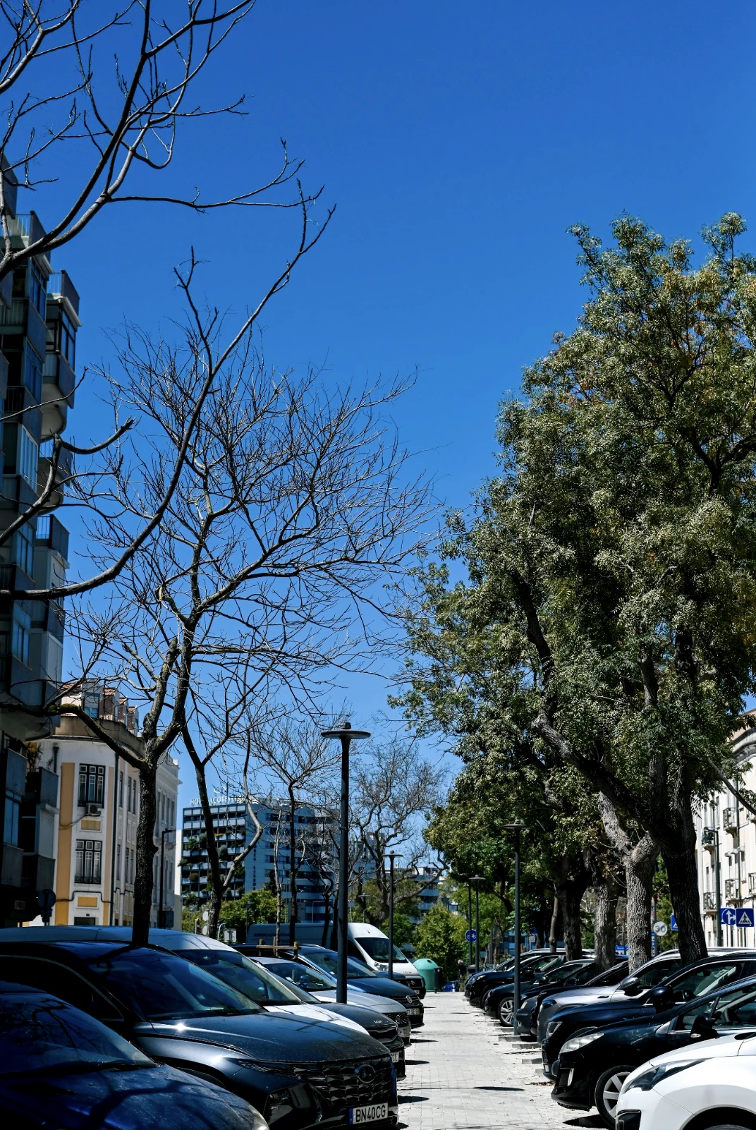Avenida Santos Dumont, Avenidas Novas