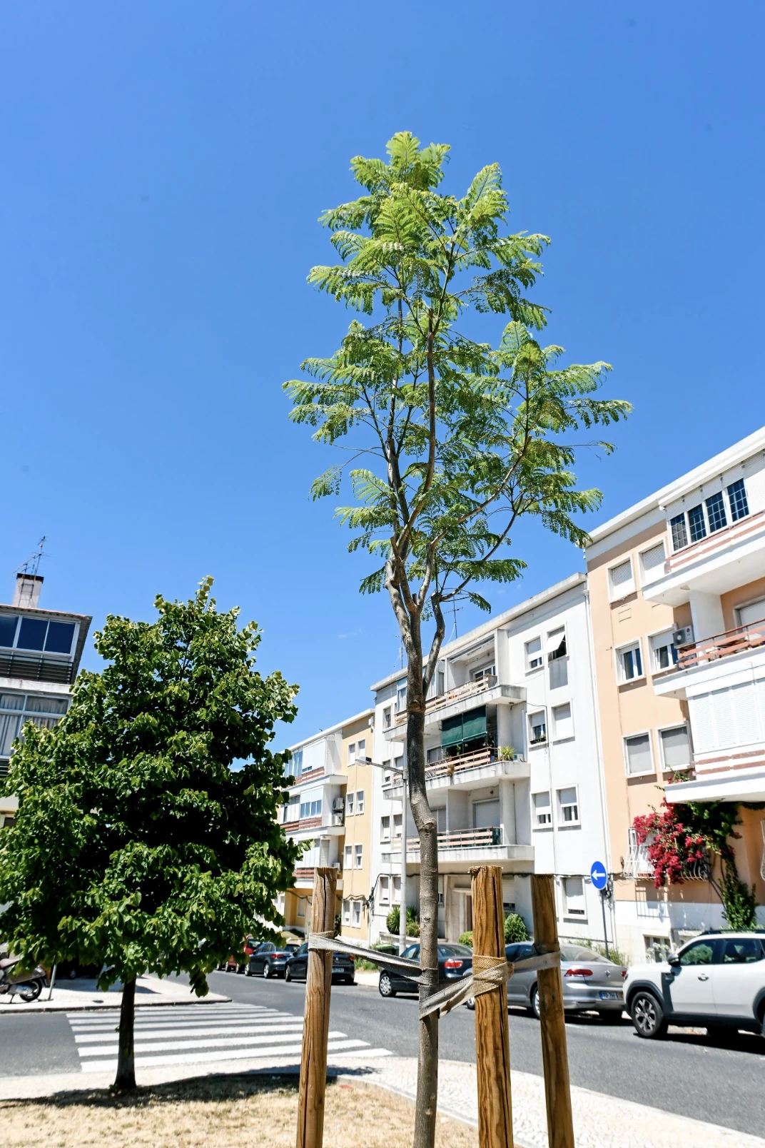 Pra&ccedil;a Andrade Caminha, Areeiro
