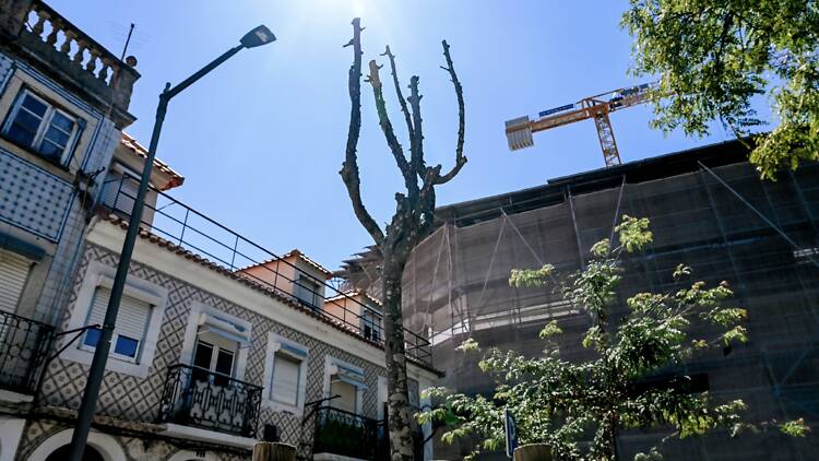 Largo do Mitelo, Arroios