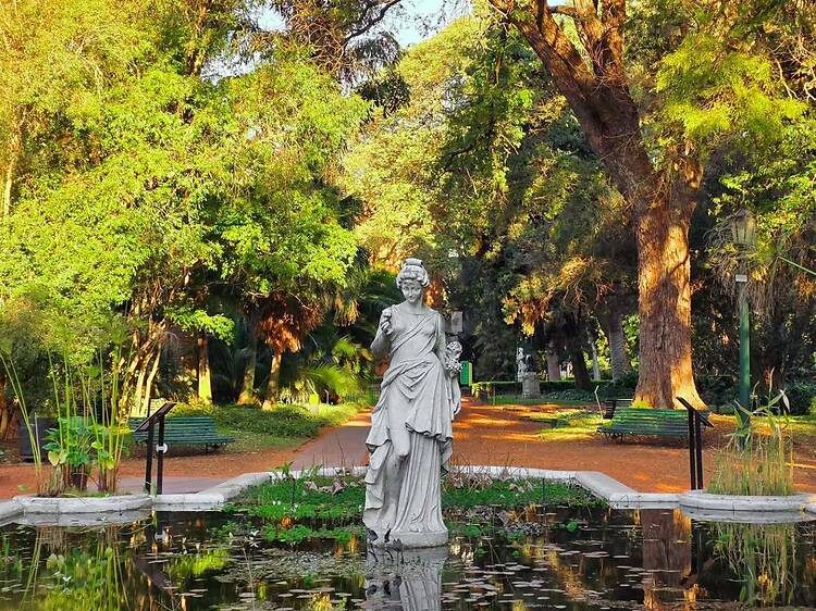 Walk Through the Botanical Garden and Tres de Febrero Park Walk Through the Botanical Garden and Tres de Febrero Park