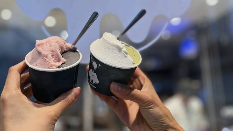 Edenly Gelato Edenly Gelato