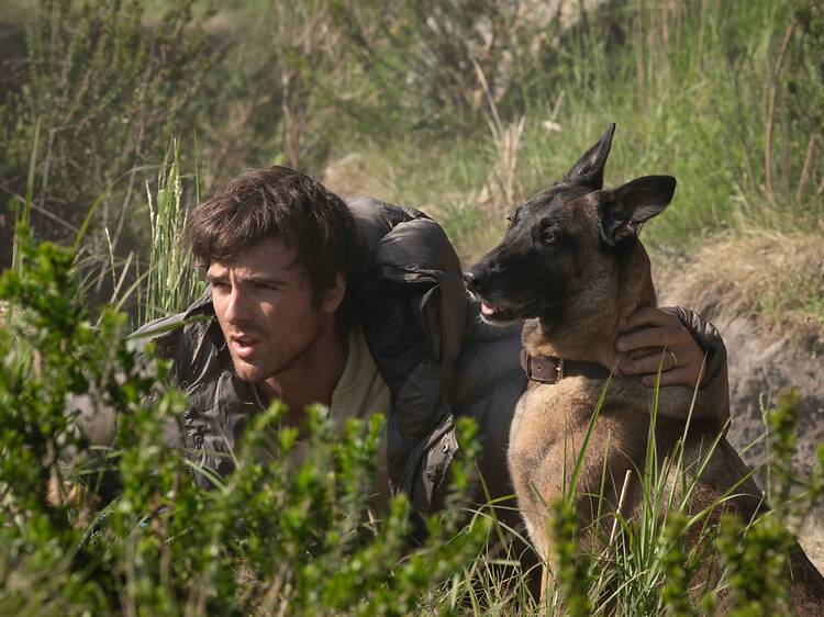 The Dog Stars