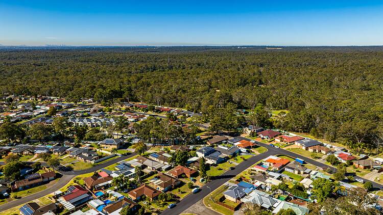 Sydney housing Drone perspective of suburban housing meeting dense bushland in NSW, illustrating the ongoing balance between accommodation demand and environmental conservation at the city’s edge.