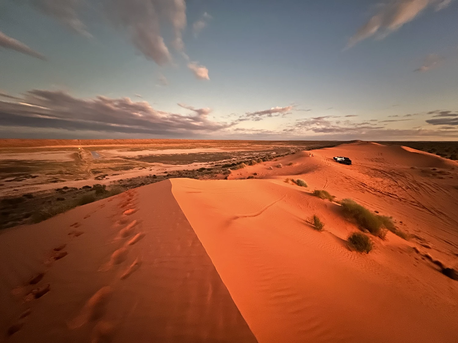 Desert