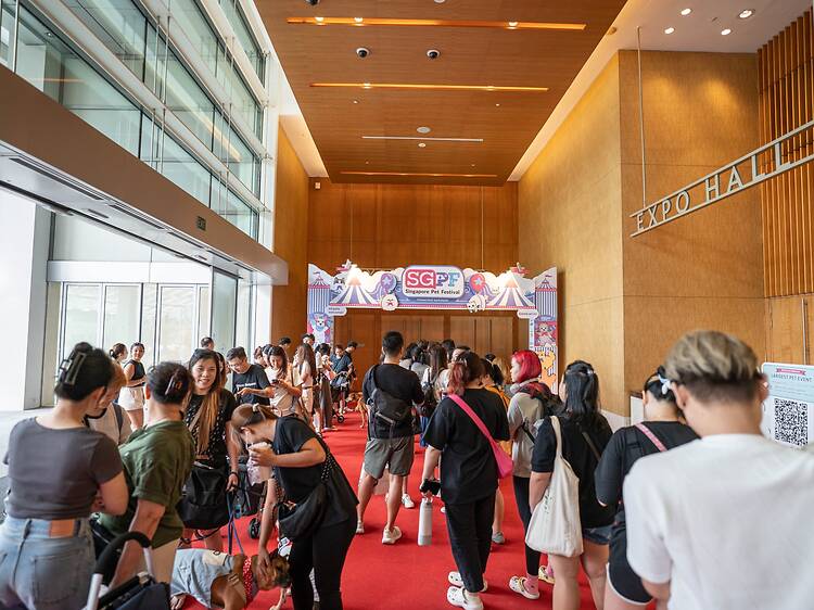 Spoil your furry friends at the largest Singapore pet exhibition