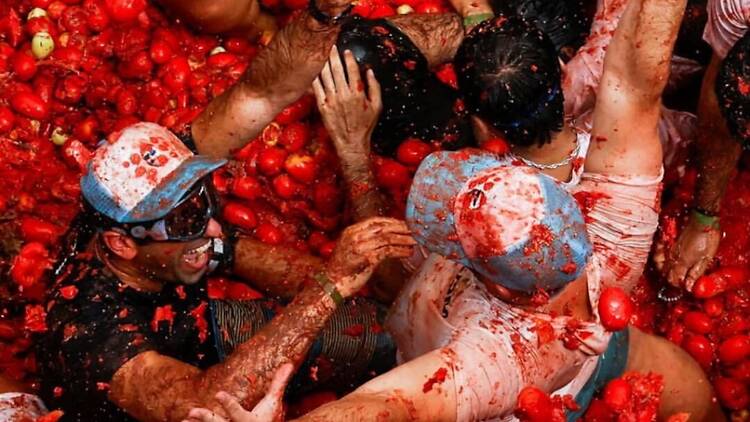 The Tomatina Festival