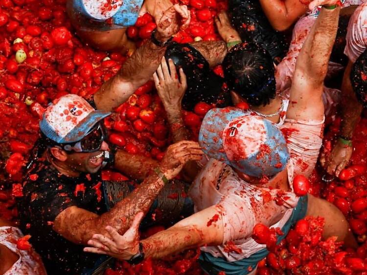 The Tomatina Festival