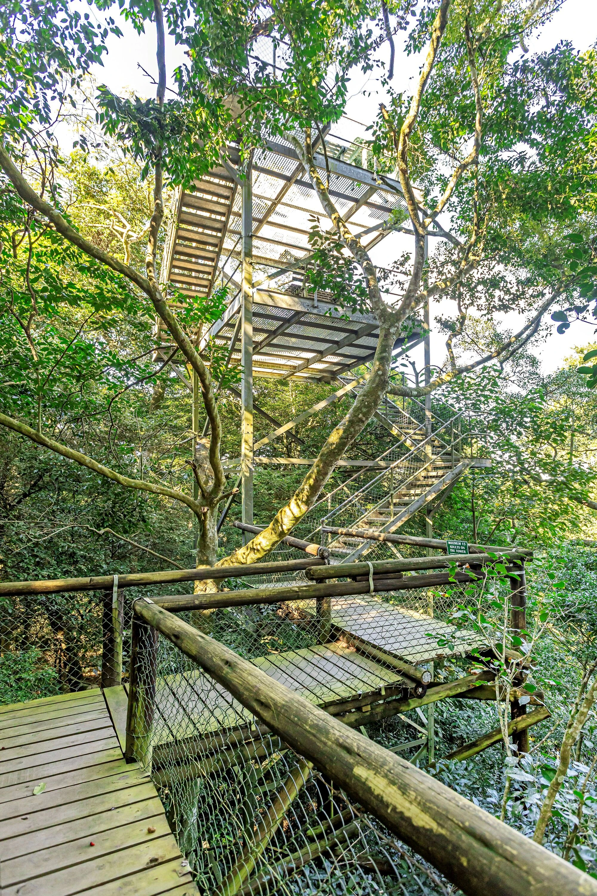 Towering indigenous trees, flowering orchids and dense green canopy make every visit feel like stepping into another world.