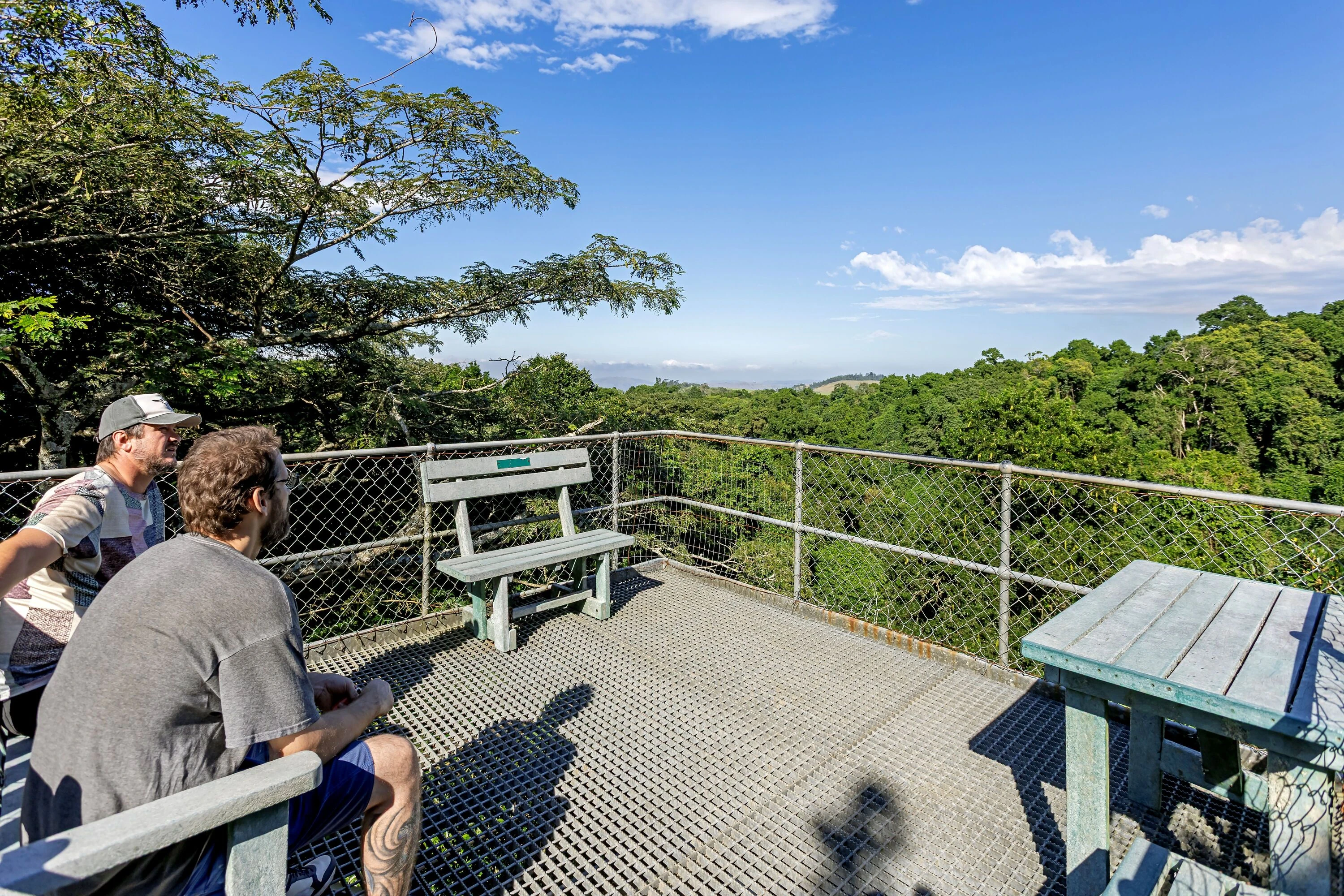 Dlinza Forest forms part of the renowned Zululand Birding Route.