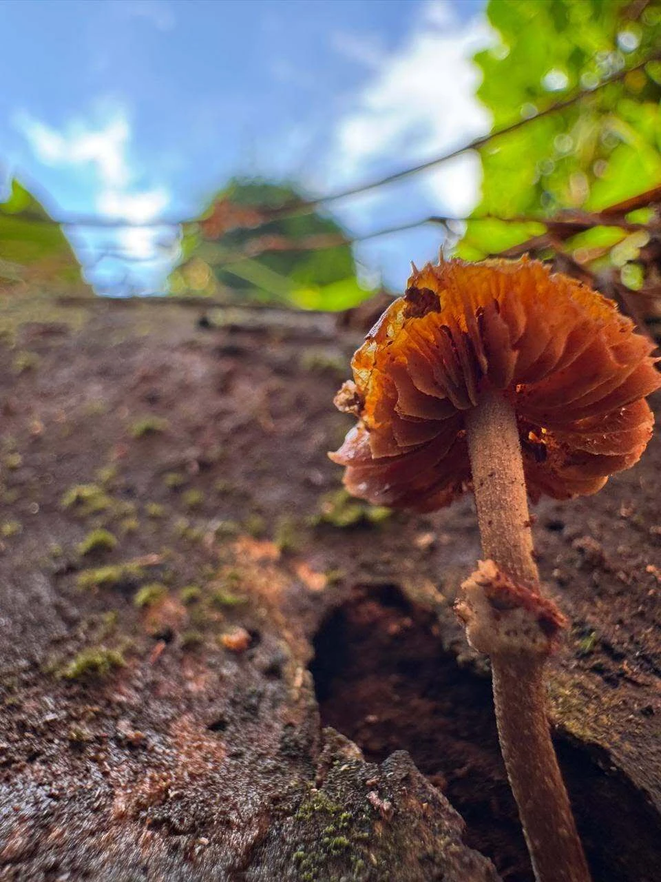 This is the heart of a living ecosystem. 