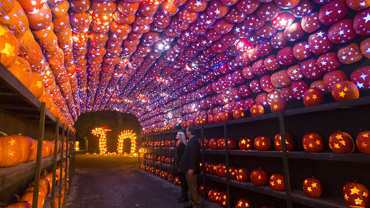 The Great Jack O'Lantern Blaze
