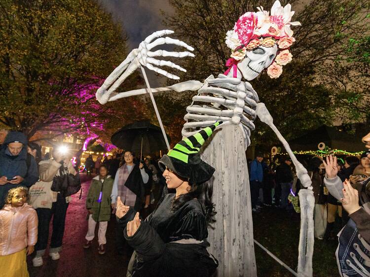 Halloween Happenings on High Street Kensington