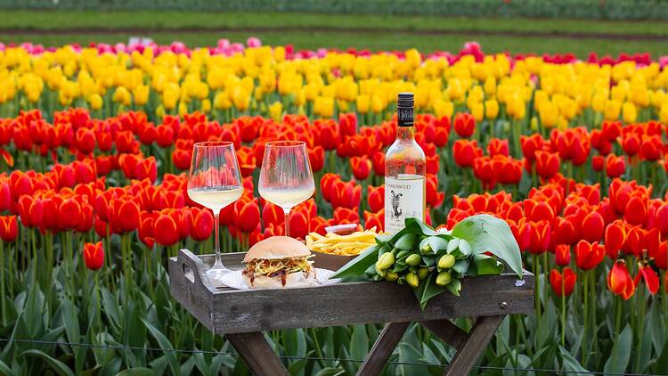 Tesselaar Tulip Festival White wine and food in a table in a field of tulips