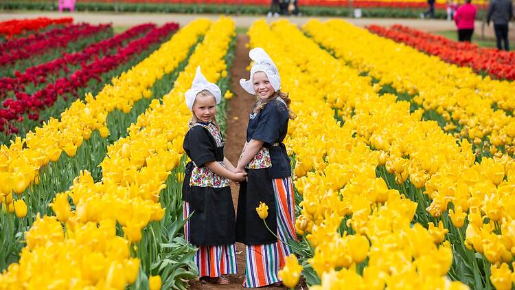 Tesselaar Tulip Festival Kids in traditional Dutch costumes in a field of tulips