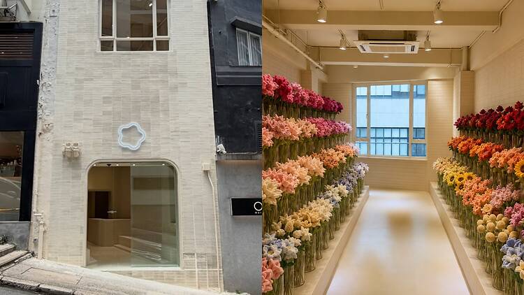 Cj Hendry Flower Shop HK flagship